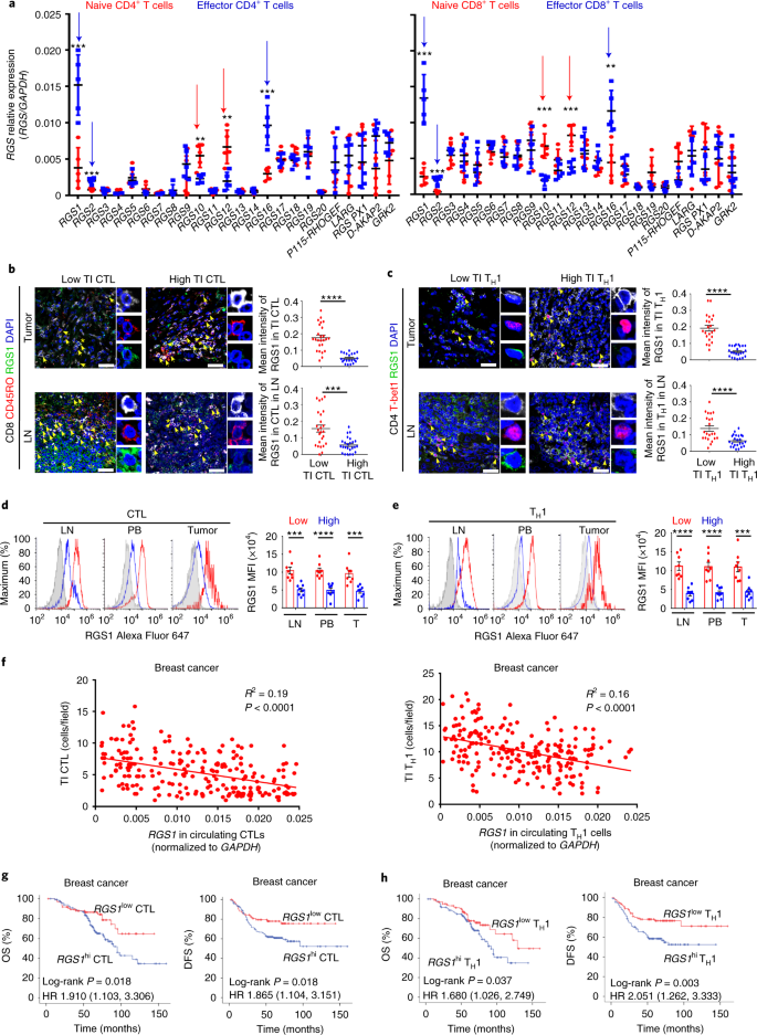 Targeting Regulator Of G Protein Signaling 1 In Tumor Specific T Cells Enhances Their Trafficking To Breast Cancer Nature Immunology Targeting Regulator Of G Protein Signaling 1 In Tumor Specific T Cells Enhances Their Trafficking To Breast Cancer Nature Immunology