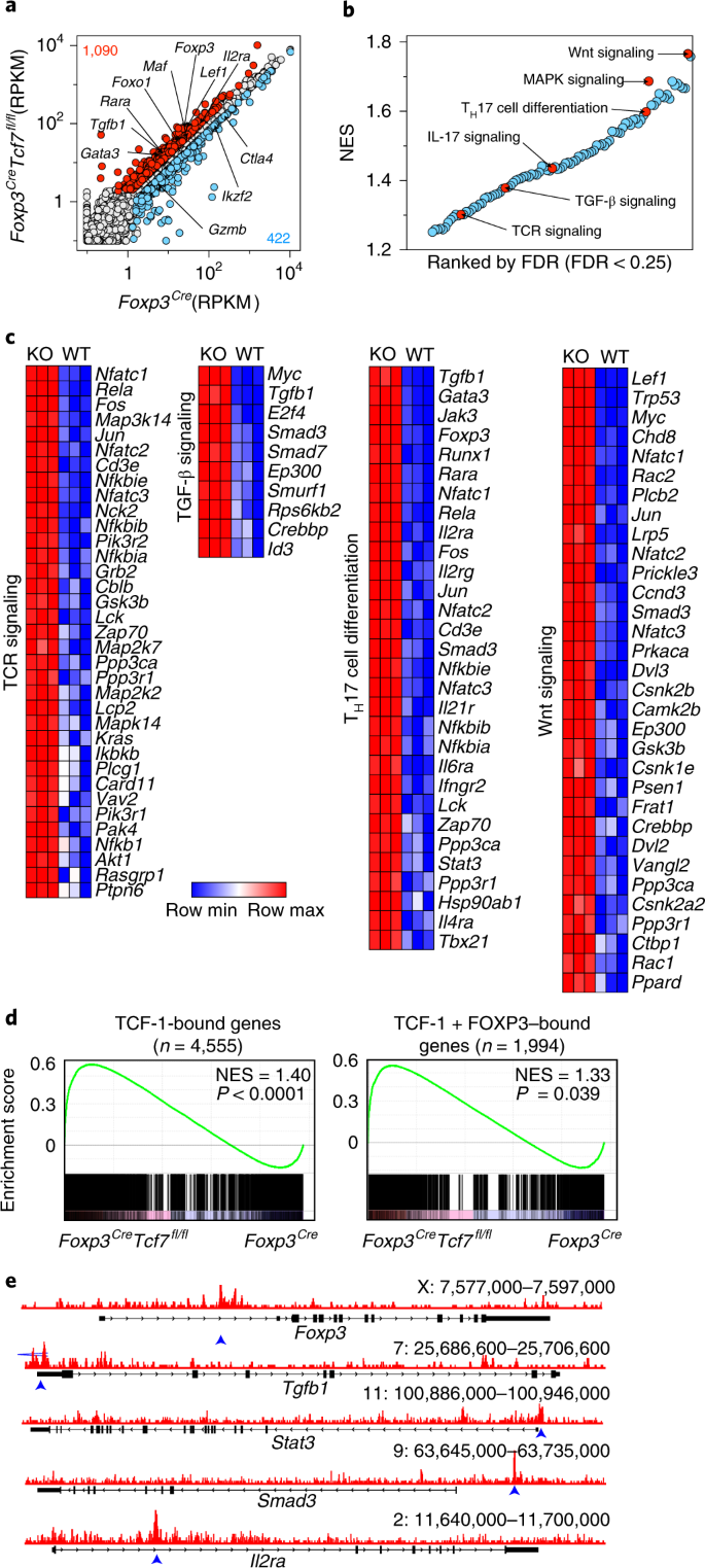 Tcf 1 Controls Treg Cell Functions That Regulate Inflammation Cd8 T Cell Cytotoxicity And Severity Of Colon Cancer Nature Immunology Tcf 1 Controls Treg Cell Functions That Regulate Inflammation Cd8 T Cell Cytotoxicity And Severity Of Colon Cancer Nature Immunology