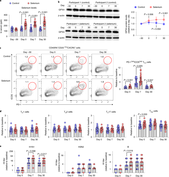 Selenium–GPX4 axis protects follicular helper T cells from ferroptosis
