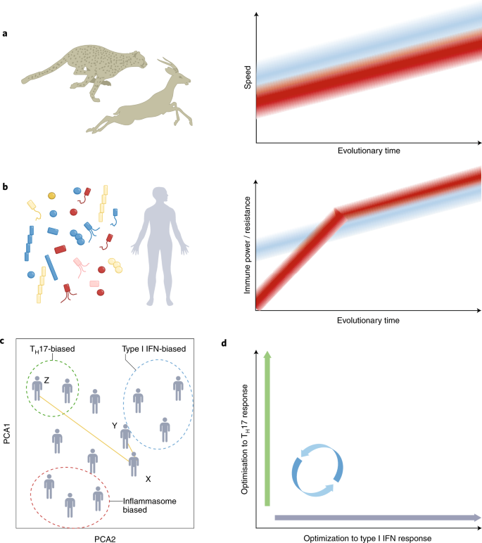 Human immune diversity: from evolution to modernity | Nature Immunology