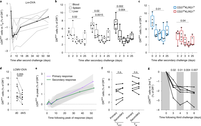 Replicative history marks transcriptional and functional disparity in the  CD8+ T cell memory pool | Nature Immunology