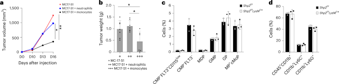 Fig. 6: SHP-2 ablation induces lasting antitumor properties in monocytes.