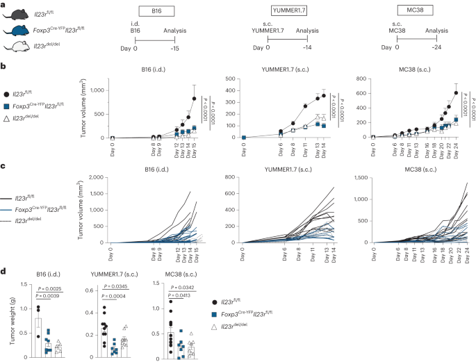 Fig. 2: Treg cells mediate the tumor-promoting functions of IL-23.