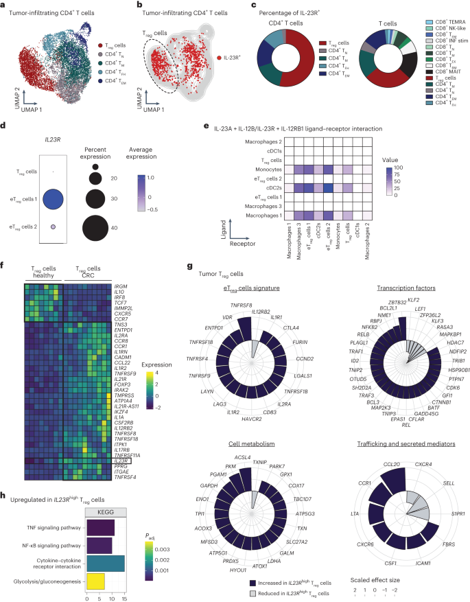 Fig. 6: IL-23R signaling induces an eTreg cell program in the human TME.