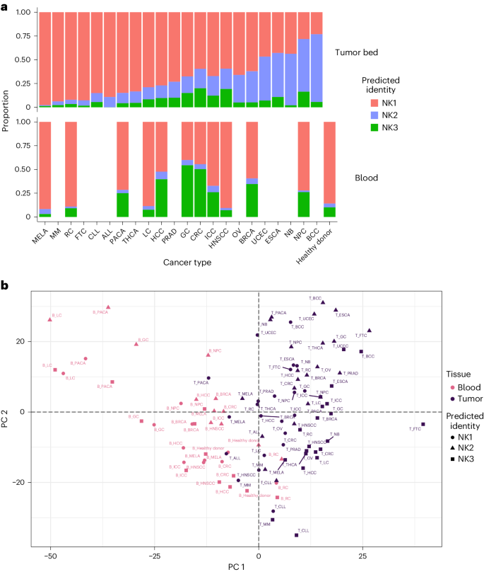 Fig. 7: Distribution of NK1, NK2 and NK3 cell subsets in the blood of people with cancer and at the tumor bed.