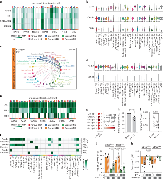 Fig. 6: Intercellular communication of distinct cellular states in the TME.
