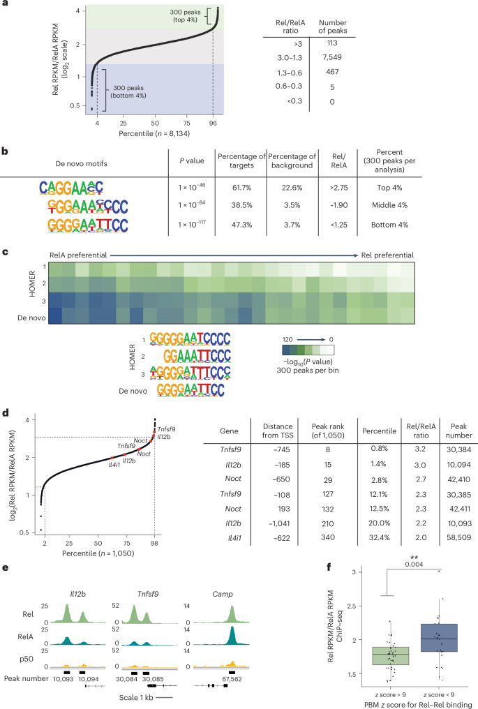 Fig. 4: Selective binding of Rel and RelA in mouse BMDMs examined by ChIP–seq.