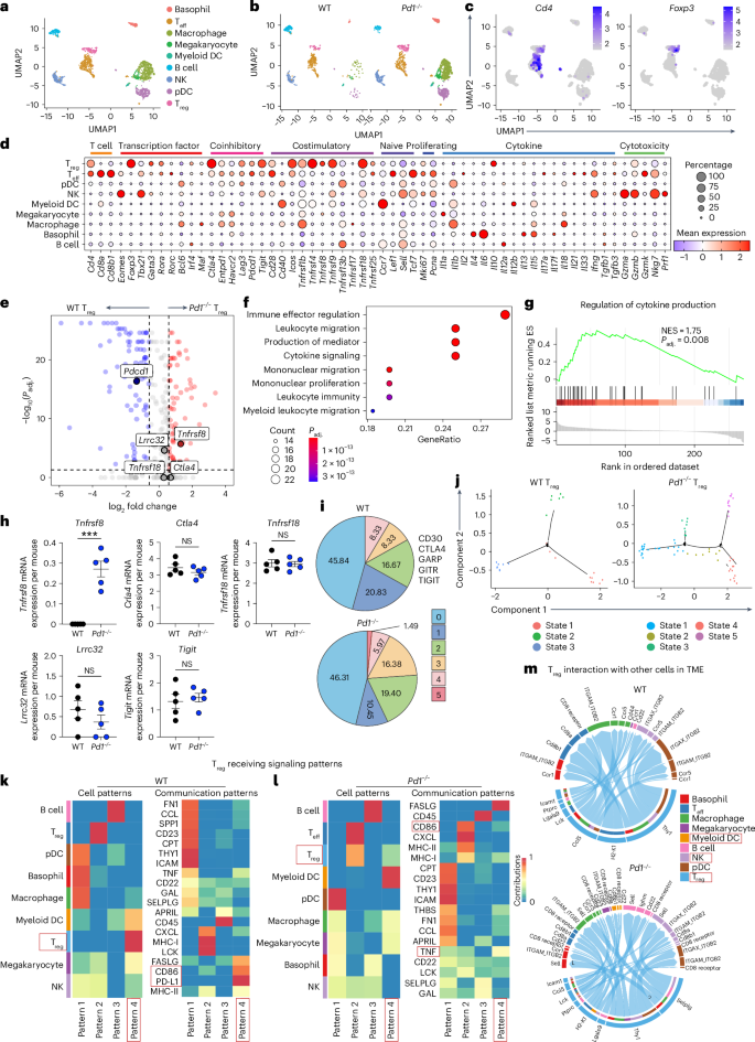 Fig. 2: scRNA-seq analysis identifies CD30 expression in Pd1−/− Treg cells in the TME.