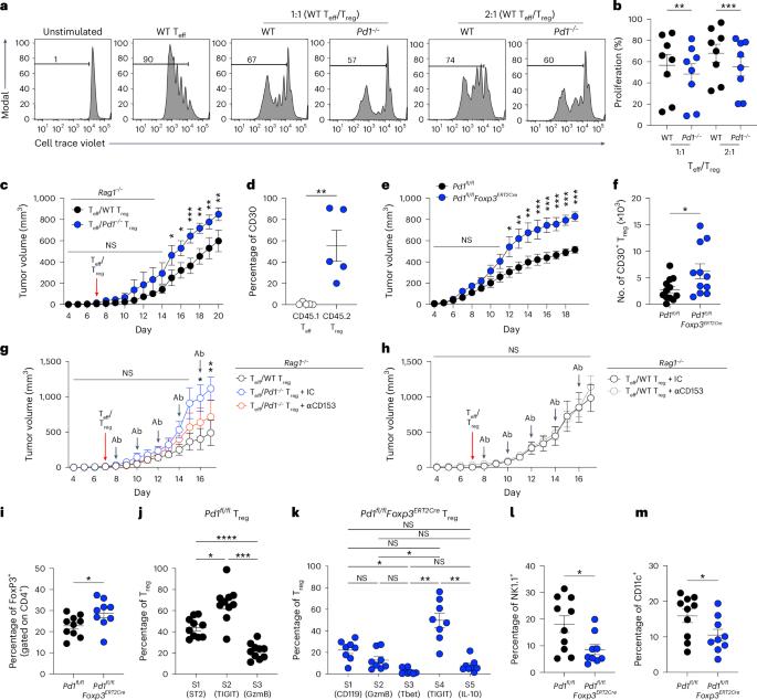 Fig. 3: PD-1 deficiency enhances Treg cell function through CD30 within the TME.