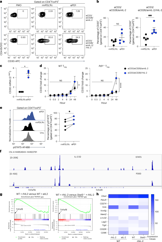 Fig. 4: PD-1 regulates CD30 expression via IL-2–STAT5 signaling.