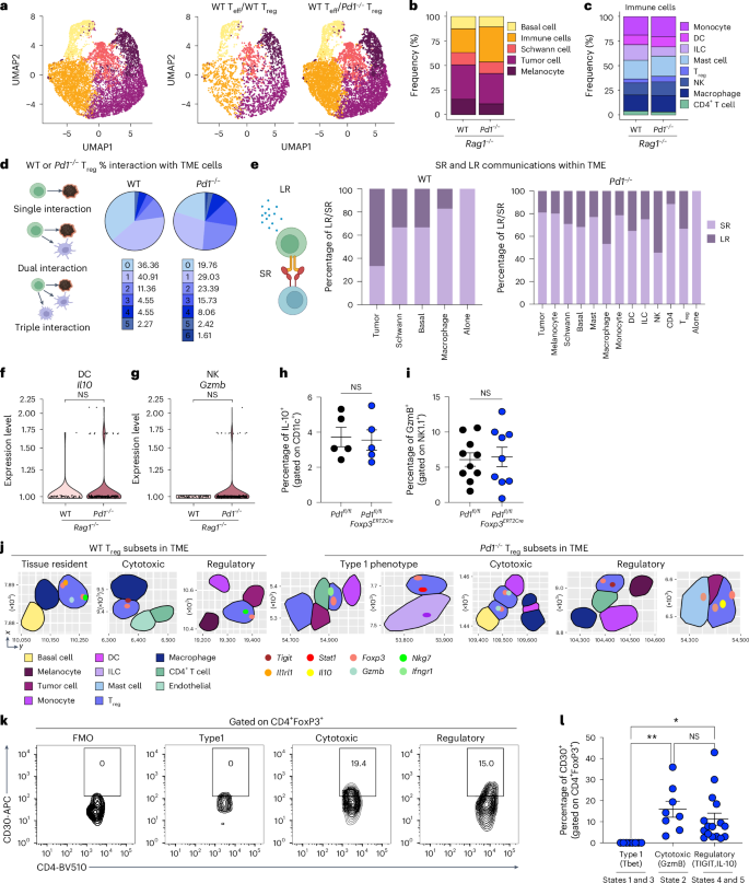 Fig. 5: Spatial transcriptomics of Pd1−/− Treg cell communication programs in TME.