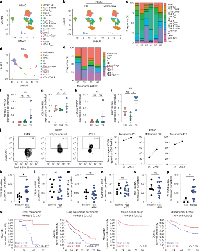 Fig. 6: Anti-PD-1 and not the melanoma TME enhances CD30 expression by human Treg cells.