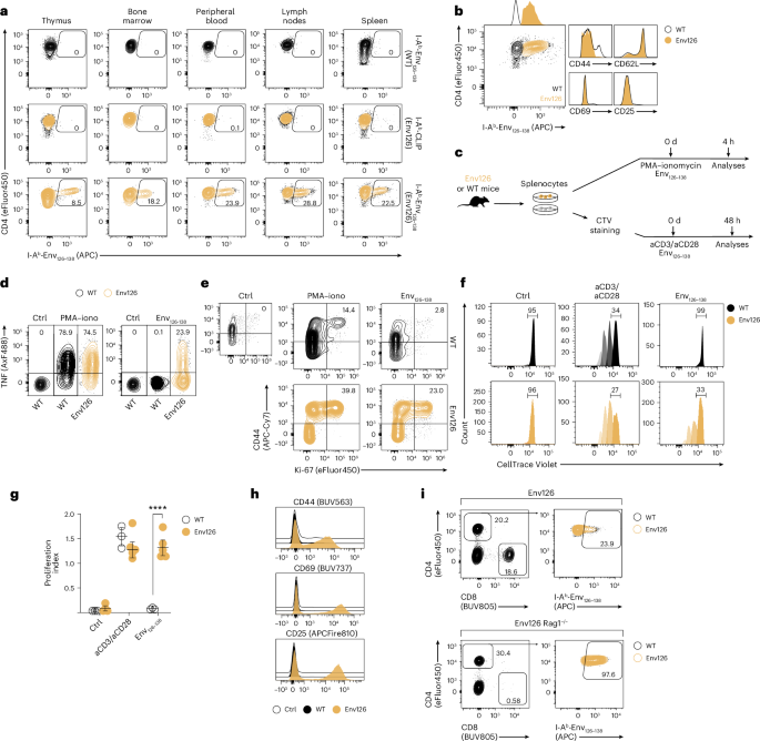 Fig. 1: Generation and characterization of HBV-specific CD4+ TCR transgenic mice.