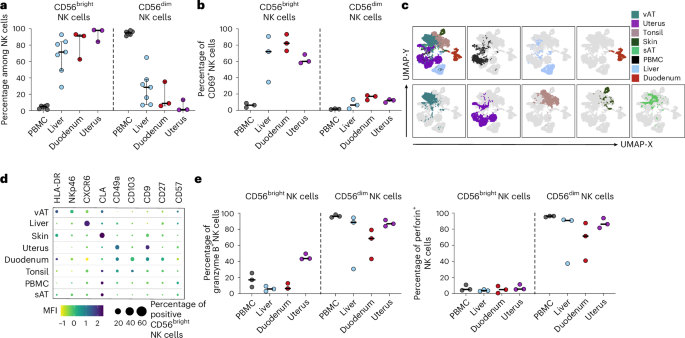 Fig. 1: CD56bright NK cells from distinct human tissues have common and unique TR molecule expression.