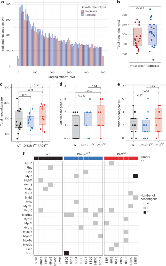 Fig. 3: Mutated FABP-derived neoantigens are enriched in primary tumor lines from DNGR-1-deficient mice.