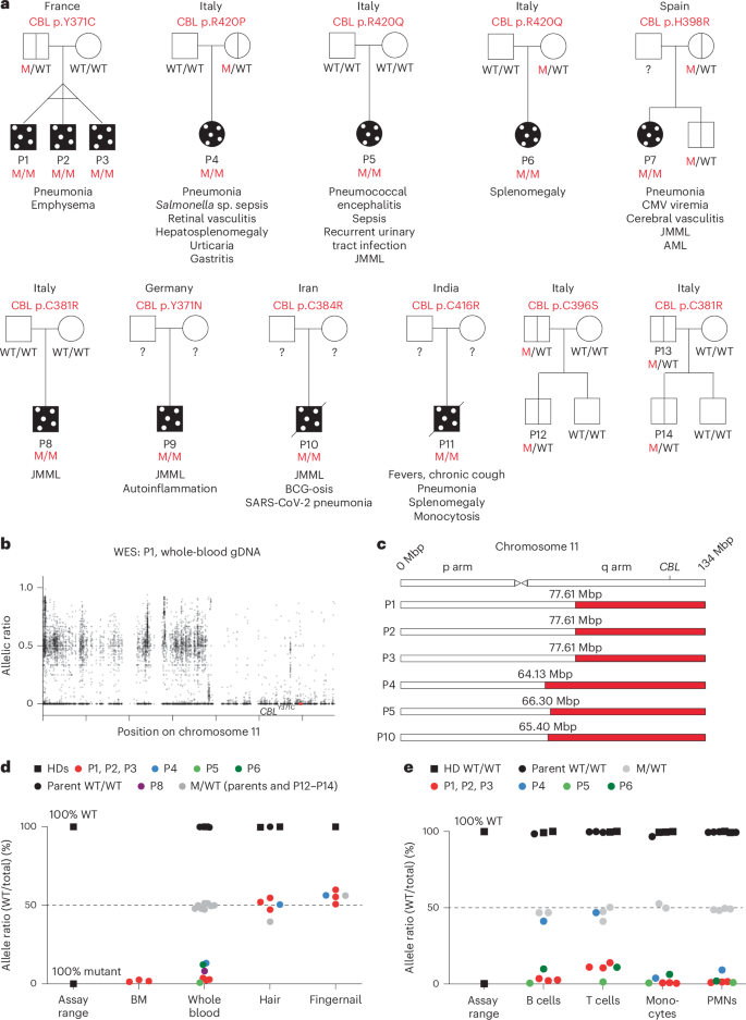 Fig. 1: Cohort of 11 individuals with CBL-LOH with leukemia, autoinflammation and infections.