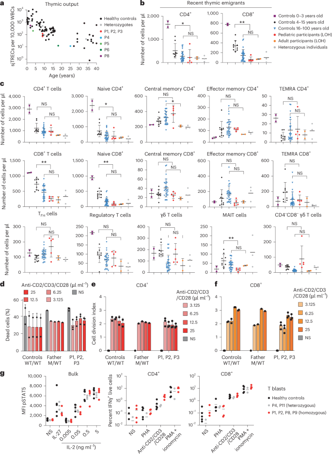 Fig. 2: Intact T cell development and function in individuals with CBL-LOH.