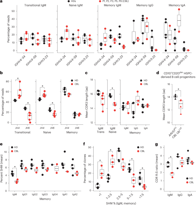 Fig. 6: BCR repertoire of individuals deficient in CBL reveals a defect in immunoglobulin V gene usage and somatic hypermutation.