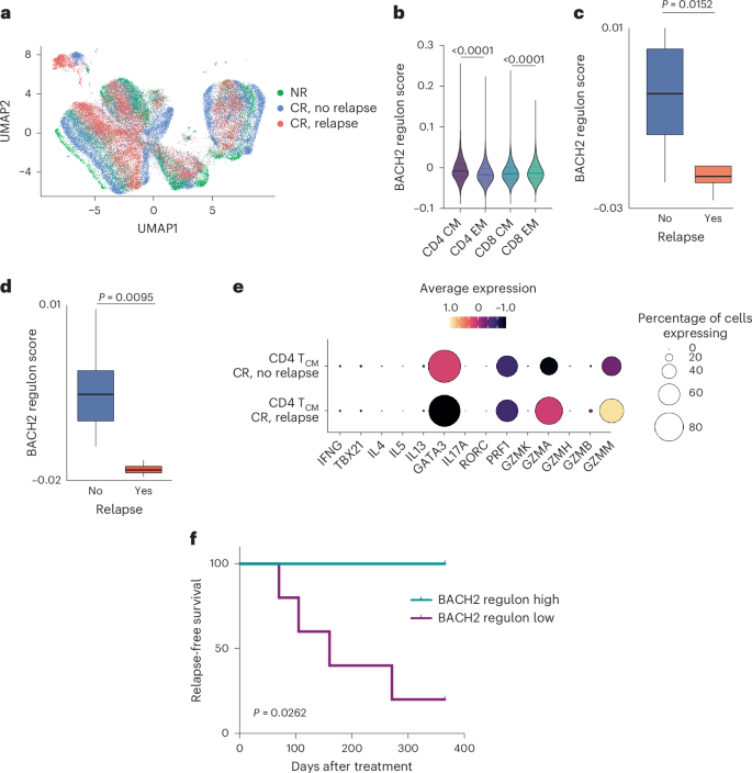 Fig.
                                    7: Long-term clinical
                                    efficacy of CD19 CAR T cell products correlates with product
                                    BACH2 activity.
