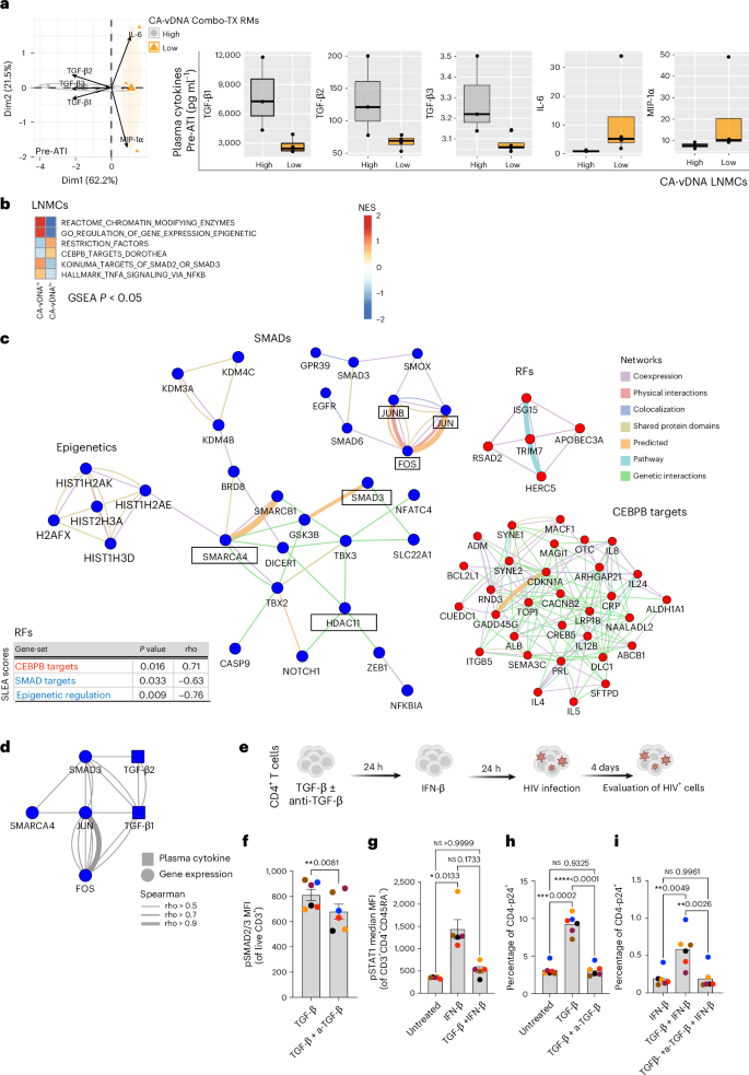 Fig. 2: Transcriptomic analysis of PBMCs and LNMCs of combo-treated RMs with lower CA-vDNA levels reveals higher IFN-associated restriction factor signaling and lower SMAD signaling and epigenetic signatures.