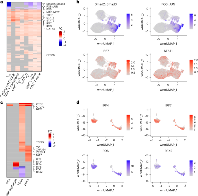 Fig. 5: Greater chromatin accessibility of IFN-associated transcription factors (STAT/IRF) binding sites and closed chromatin state of AP-1 family transcription factors binding sites pre-ATI is associated with lower CA-vDNA levels post-ATI.
