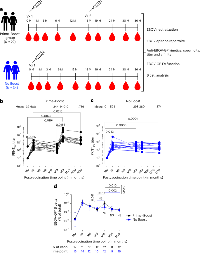 Fig. 1: Study design and neutralizing antibodies generated following first and second rVSV∆G-ZEBOV-GP vaccination.