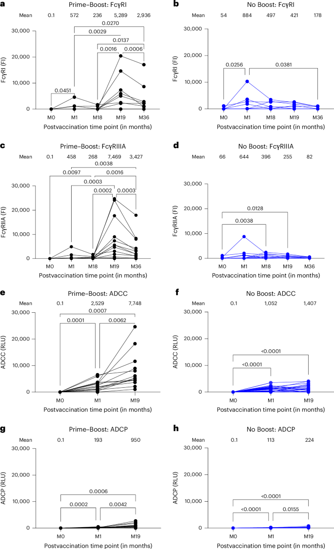 Fig. 5: FcγR interaction of rVSV∆G-ZEBOV-GP vaccination-induced serum antibodies.