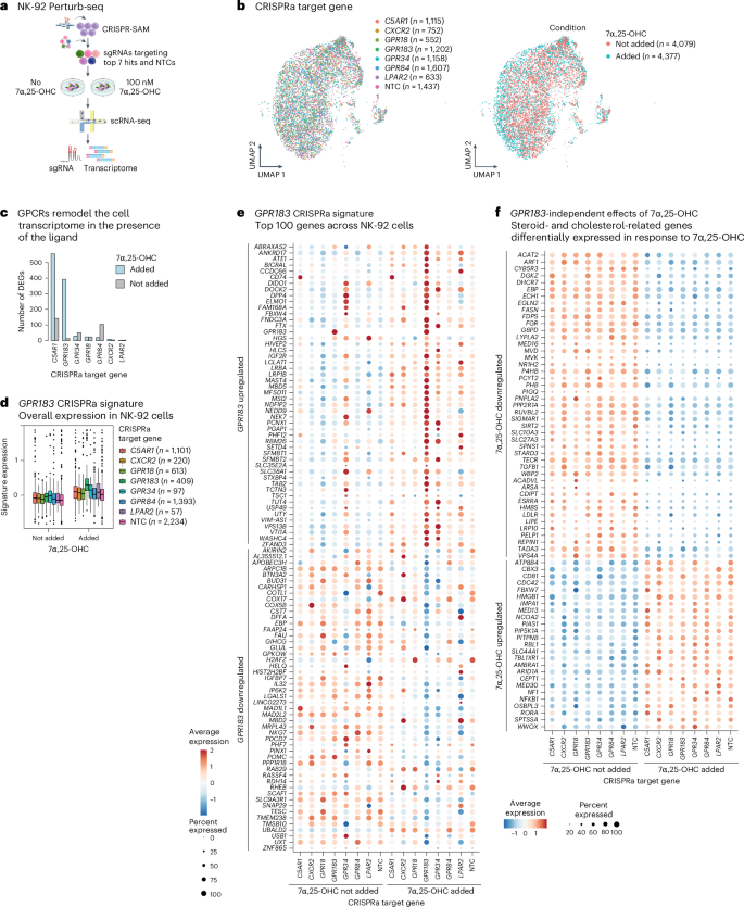 Fig. 3: Perturb-seq maps the GPR183-driven ligand-dependent transcriptional response.
