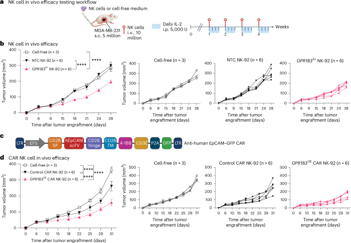 Fig. 5: GPR183 improves NK cell-mediated tumor control.
