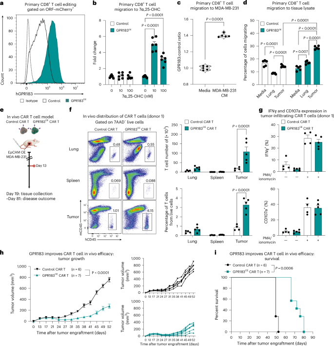 Fig. 6: Expressing GPR183 in primary human CD8+ T cells increases tumor infiltration and CAR T cell efficacy.