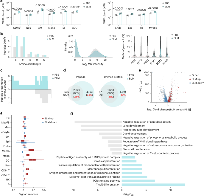 Immunopeptidome profiling in pulmonary fibrosis provides a platform for  identifying therapeutic targets | Nature Immunology