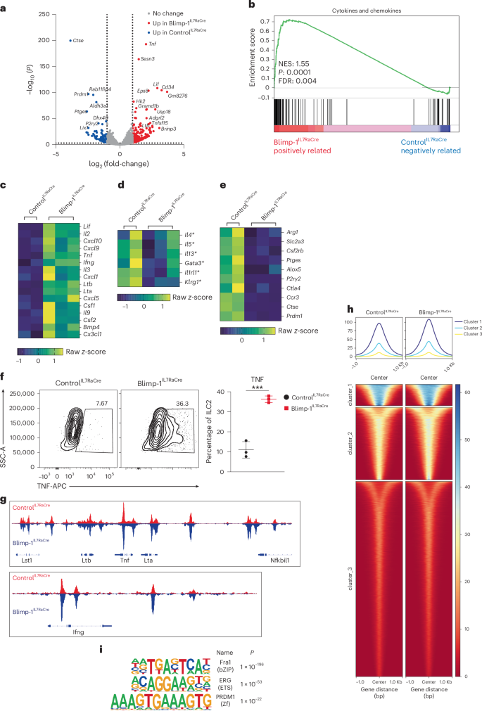 Fig. 4: Blimp-1 suppresses type 1-related genes in ILC2s.