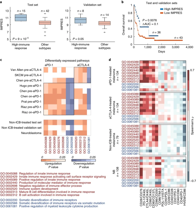 Robust prediction of response to immune checkpoint blockade therapy in metastatic melanoma