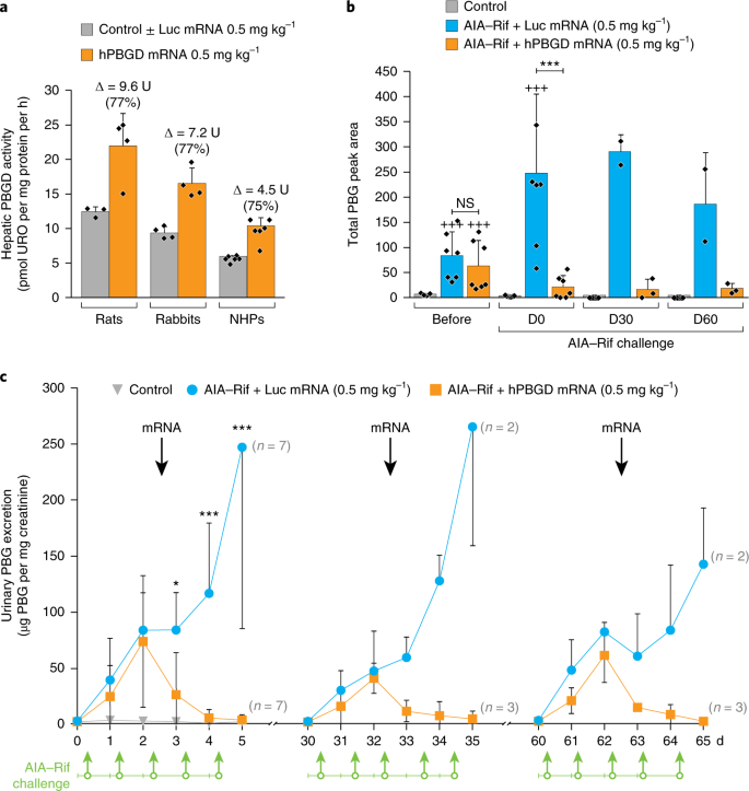 Systemic Messenger Rna As An Etiological Treatment For Acute Intermittent Porphyria Nature Medicine