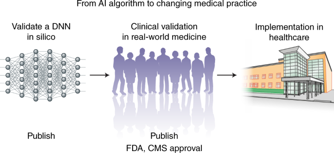 High-performance medicine: the convergence of human and artificial  intelligence | Nature Medicine