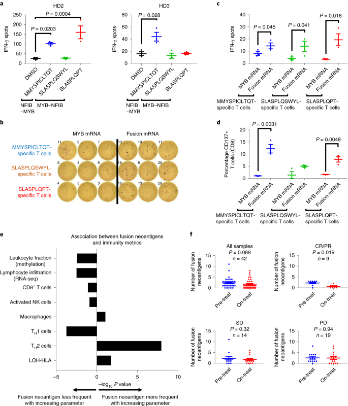 Immunogenic Neoantigens Derived From Gene Fusions Stimulate T Cell Responses Nature Medicine