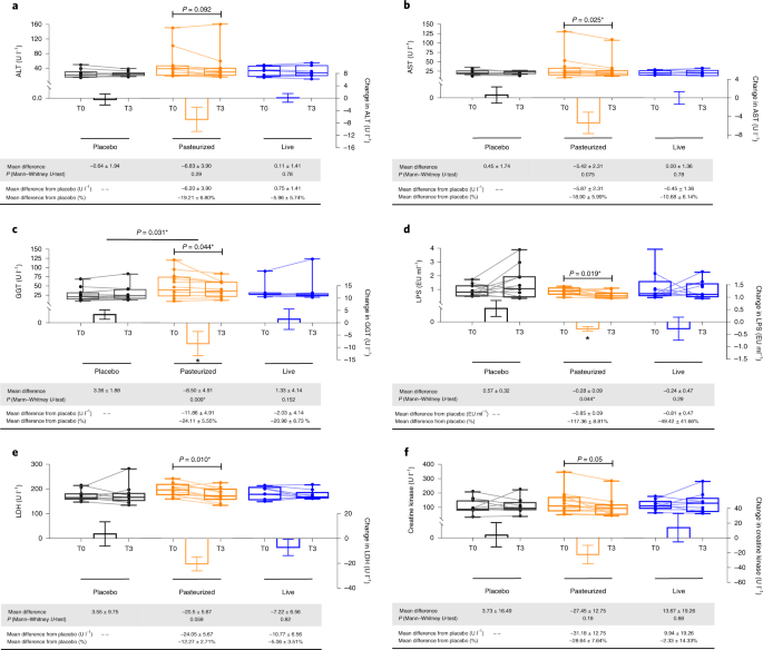 venskab Berri Rejse Supplementation with Akkermansia muciniphila in overweight and obese human  volunteers: a proof-of-concept exploratory study | Nature Medicine