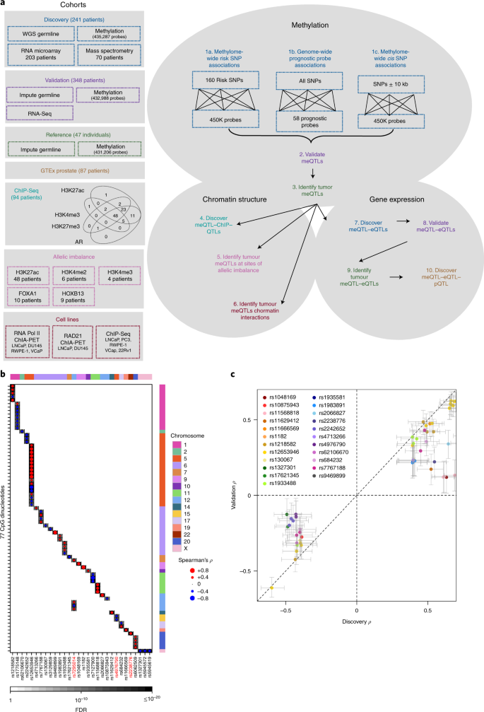 Genome Wide Germline Correlates Of The Epigenetic Landscape Of Prostate Cancer Nature Medicine Genome Wide Germline Correlates Of The Epigenetic Landscape Of Prostate Cancer Nature Medicine