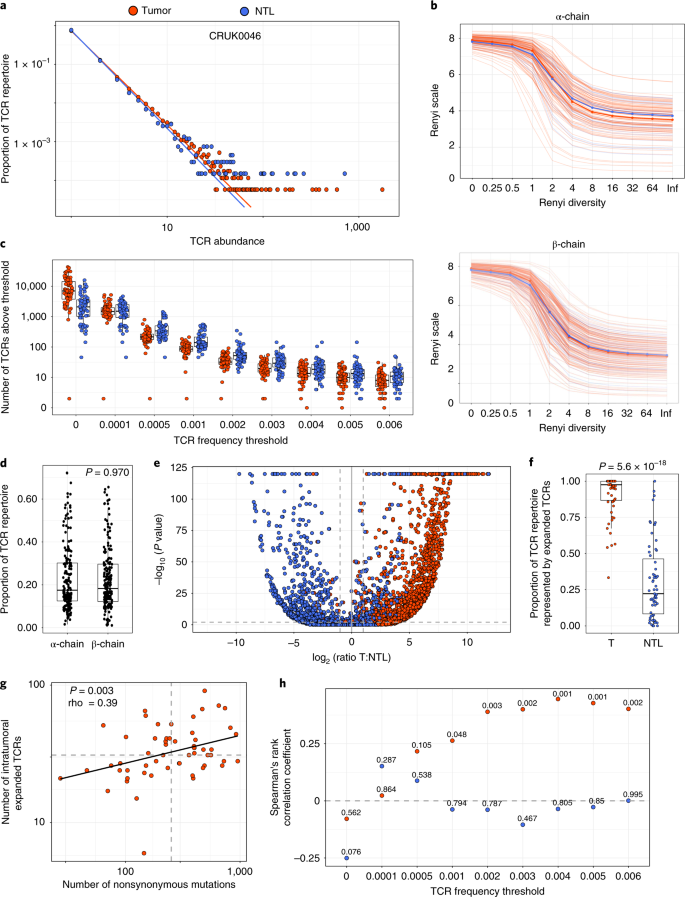 Spatial heterogeneity of the T cell receptor repertoire ...
