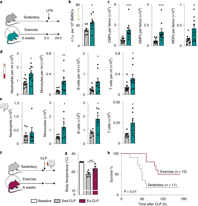 Exercise Reduces Inflammatory Cell Production And Cardiovascular Inflammation Via Instruction Of Hematopoietic Progenitor Cells Nature Medicine