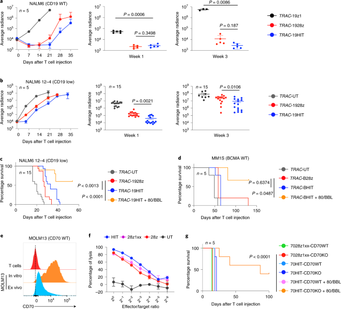 Hla Independent T Cell Receptors For Targeting Tumors With Low Antigen Density Nature Medicine Hla Independent T Cell Receptors For Targeting Tumors With Low Antigen Density Nature Medicine
