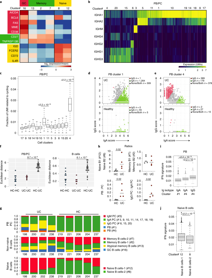 Ulcerative colitis is characterized by a plasmablast-skewed humoral  response associated with disease activity | Nature Medicine