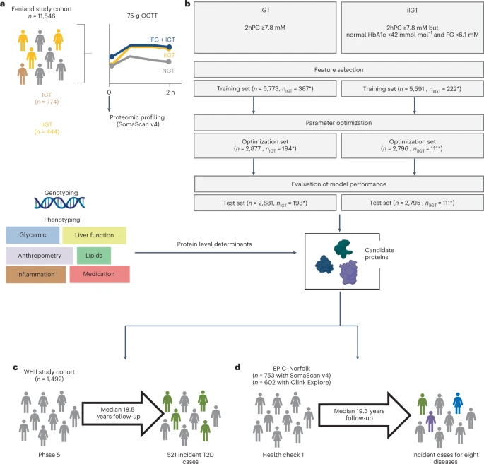 Proteomic signatures for identification of impaired glucose tolerance