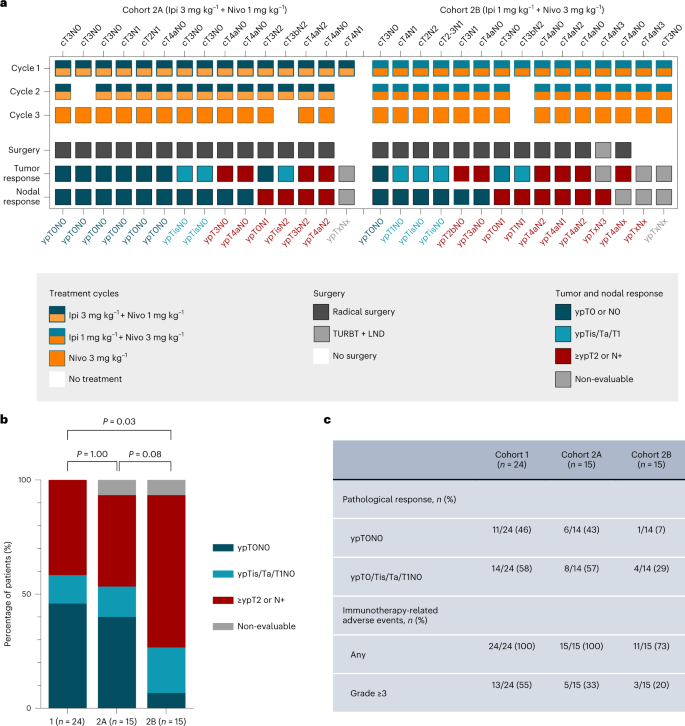 High- or low-dose preoperative ipilimumab plus nivolumab in stage III  urothelial cancer: the phase 1B NABUCCO trial | Nature Medicine