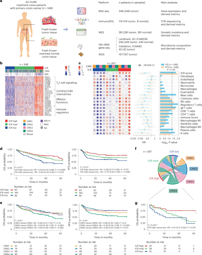 An integrated tumor, immune and microbiome atlas of colon cancer