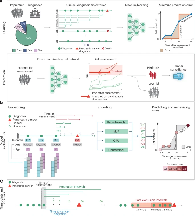  A deep learning algorithm to predict risk of pancreatic cancer from disease trajectories 