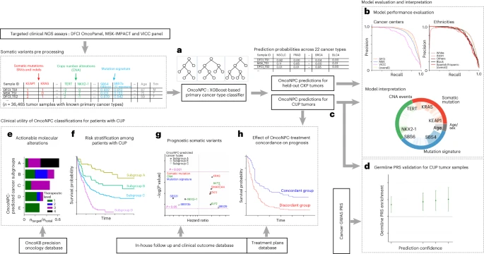  Machine learning for genetics-based classification and treatment response prediction in cancer of unknown primary 