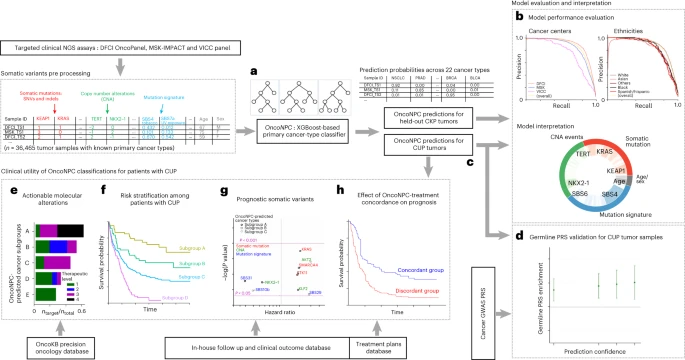 Machine learning for genetics-based classification and treatment response prediction in cancer of unknown primary