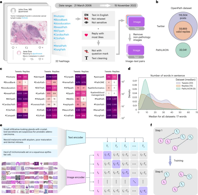  A visual–language foundation model for pathology image analysis using medical Twitter 