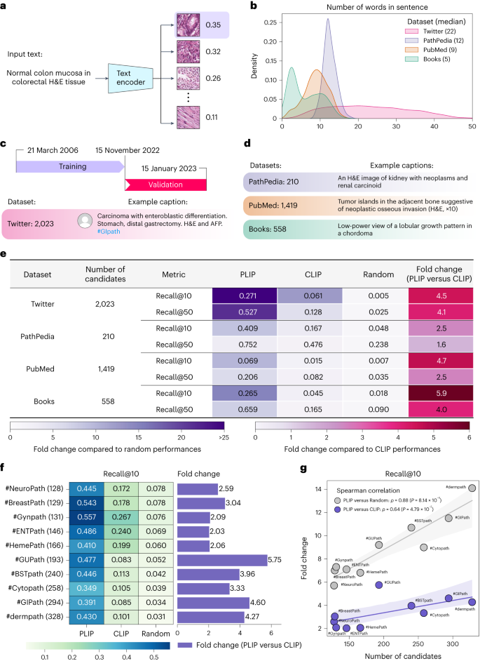 A visual–language foundation model for pathology image analysis 